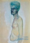 Andrea Martinelli-opere recenti Ed.Compagnia del Disegno/ Davico Milano/Torino 1997